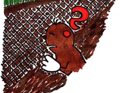 Eine senkrechte Maulwurfsperre